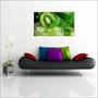 Imagem de Quadro Decorativo Para Cozinhas Frutas Kiwi Gourmet Mercados Decorações Moldura Branca Q01