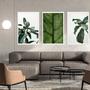 Imagem de Quadro Decorativo Sala Quarto Trio Plantas