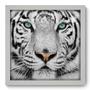 Imagem de Quadro Decorativo - Tigre Branco - 33cm x 33cm - 017qdsb