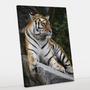 Imagem de Quadro Decorativo Tigre Canvas 50x70 - Foto Paulista