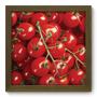 Imagem de Quadro Decorativo - Tomate - 22cm x 22cm - 127qdcm