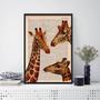 Imagem de Quadro Decorativo Trio Girafas 33X24Cm - Com Vidro