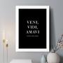 Imagem de Quadro Decorativo Veni Vidi Amavi 33x24cm - com vidro