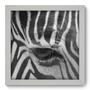 Imagem de Quadro Decorativo - Zebra - 22cm x 22cm - 003qnsab