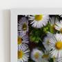 Imagem de Quadro Flores Margaridas Brancas Moldura Branca 60x40cm