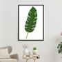 Imagem de Quadro Folha Verde - Fundo Branco 33x24cm - com vidro