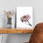 Imagem de Quadro Foto Flor Moderna Rosa 45x34cm - com vidro