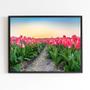 Imagem de Quadro Fotografia Campo de Tulipas 24x18cm - com vidro