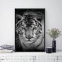 Imagem de Quadro Fotografia Tigre Olho Azul 33x24cm - com vidro