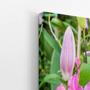 Imagem de Quadro Lilium Brownii Rosa Flores Fotografia Canvas 60X40Cm