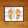 Imagem de Quadro Mapa ReflexologiaPodal 45x34cm - com vidro