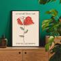 Imagem de Quadro Minimalista Flor Vermelha 45x34cm - Moldura Branca