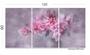 Imagem de Quadro Mosaico Para Sala Hall Rosas Flores-rosa Romance Flor 120x60