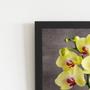 Imagem de Quadro Orquídeas Amarelas Flor Em Vaso Moldura Preta 60X40Cm