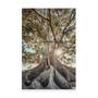 Imagem de Quadro Paisagem Árvore Com Raízes Expostas Moderno Natureza Para Sala Quarto Canvas Grande - Bimper
