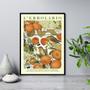 Imagem de Quadro Poster Passarinhos Com Frutas 45X34Cm