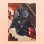 Imagem de Quadro Star Wars Darth Vader