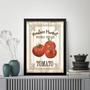 Imagem de Quadro Vintage Para Cozinha Tomate 45X34Cm - Com Vidro