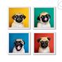 Imagem de Quadros Decoração de cachorro Pug Divertido com moldura