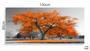 Imagem de Quadros Decorativos Arvore Vida Laranja Sala Quarto em Tecido Canvas 130x60