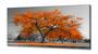 Imagem de Quadros Decorativos Arvore Vida Laranja Sala Quarto em Tecido Canvas 130x60