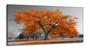 Imagem de Quadros Decorativos Arvore Vida Laranja Sala Quarto em Tecido Canvas 130x60