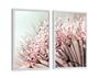 Imagem de Quadros Decorativos Flores Dente de Leão Quarto Sala 30x40cm