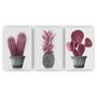 Imagem de Quadros Decorativos quarto Floral Cacto Rosa