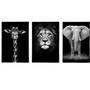 Imagem de Quadros Leão Girafa e Elefante Animais Selvagens MDF 60x40 4k
