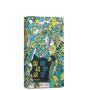 Imagem de Quasar Drop XY Desodorante Colônia 100ml