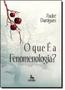 Imagem de Que e a Fenomenologia, O - CENTAURO