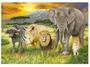 Super oferta para  Quebra-cabeça 1000 Peças Puzzle The Big Five Baixou Tudo | Achadinhos, Cupom, Desconto, Oferta, Dica, Preço, Barato 3