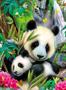 Imagem de Quebra-cabeça de quebra-cabeça de Panda De Ravensburger (300 peças)