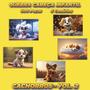 Imagem de Quebra Cabeça Kit Com 5 Modelos Cachorros - Vol 2