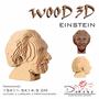 Imagem de Quebra Cabeças 3D Einstein Decoração Ornamento Enfeite