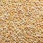 Imagem de Quinoa em Grãos 1kg