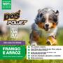 Imagem de Ração Dogs Can Fly Frango/Arroz Cão Raças Pequenas 3Kg 2 Un