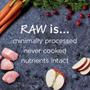 Imagem de Ração Instinct Raw Boost Sem Grãos com Frango - 9,53kg