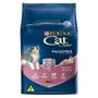 Imagem de Ração Nestlé Purina Cat Chow para Gatos Filhotes sabor Frango e Leite - 10,1kg