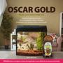 Imagem de Ração Oscar Gold kit 10x 100g