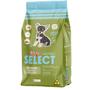 Imagem de Ração Para Cachorro 3KG Alimento Quatree Select Filhote Raças Tamanho Pequeno Sabor Frango Arroz Batata