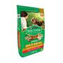 Imagem de Ração para Cães Dog Chow Extra Life Adultos Minis e Pequenos Carne Frango e Arroz 10,1kg