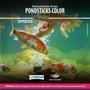 Imagem de Ração Peixes De Lago Prodac Pondsticks Color Kit 15Kg Carpas