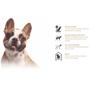Imagem de Ração ProHealth Castrado Light para Cães Adultos de Porte Pequeno Sabor Frango, Bata Doce, Gengibre e Damasco 2,5kg