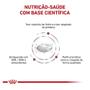 Imagem de Ração Royal Canin Canine Veterinary Diet Renal para Cães com Insuficiência Renal - 10 Kg