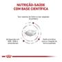 Imagem de Ração Royal Canin Canine Veterinary Diet Renal para Cães com Insuficiência Renal - 2 Kg