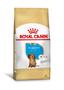 Imagem de Racao royal canin dachshund jr 2,5kg