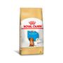 Imagem de Racao royal canin dachshund jr 2,5kg