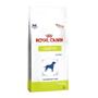 Imagem de Ração Royal Canin Diabetic Canine - 10,01 Kg