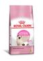 Imagem de Ração Royal Canin Gatos Kitten 1,5Kg Filhotes